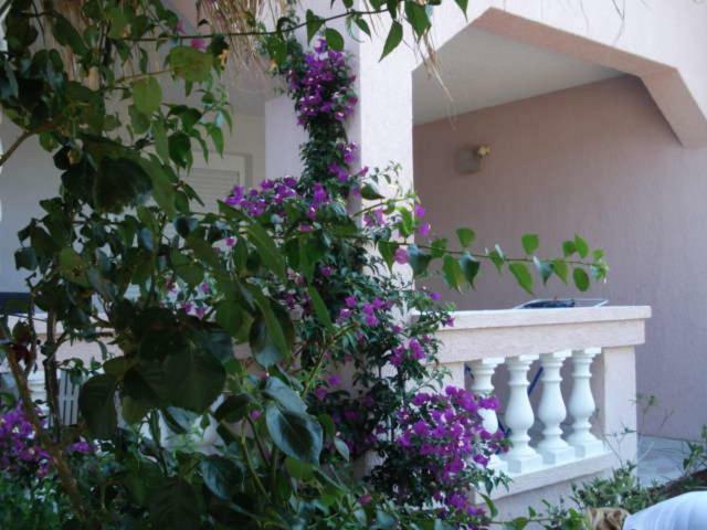 Apartments Mirjana - Stara Novalja Bagian luar foto